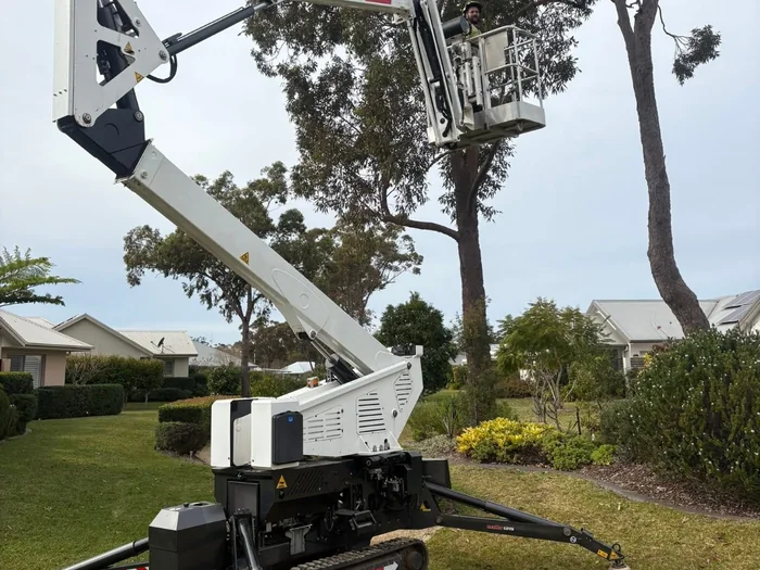 Spider lift (EWP) reaching a tree on a tight block